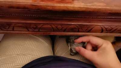 Psst.... U wan sum.... S c r i t ch???