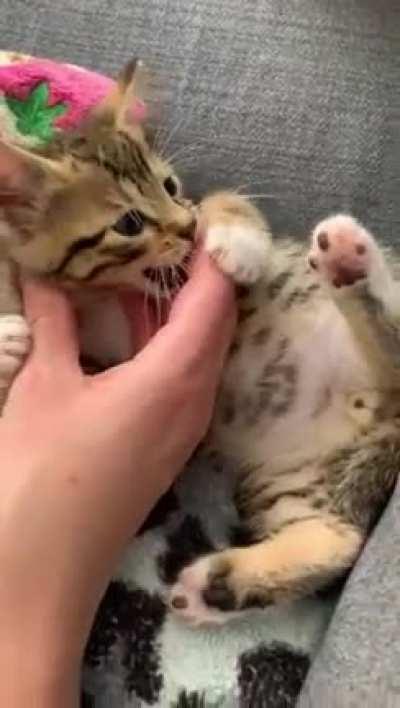 Everybody please look at this