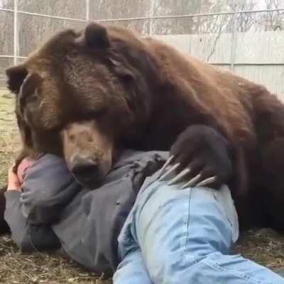 very friendly bear