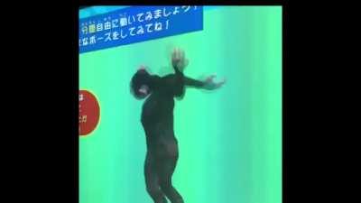 Educational display at the Zoo's chimp exhibit