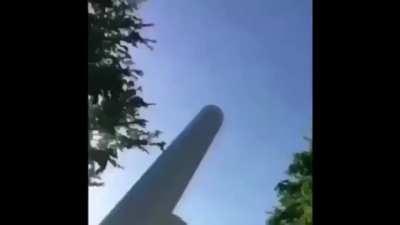 First rat to the moon