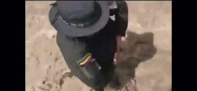 Dont put dogs in mudslides