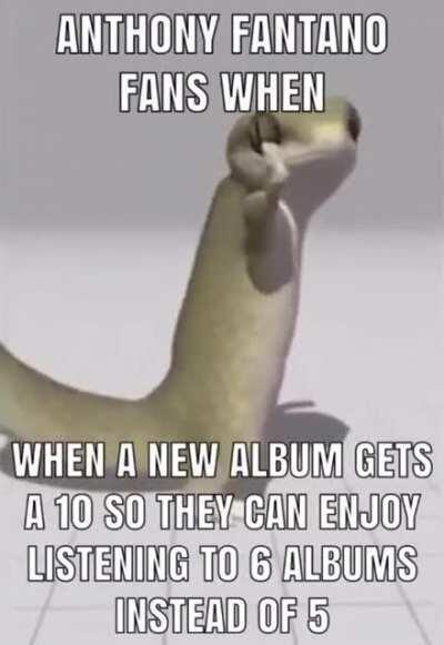 Lizard funny