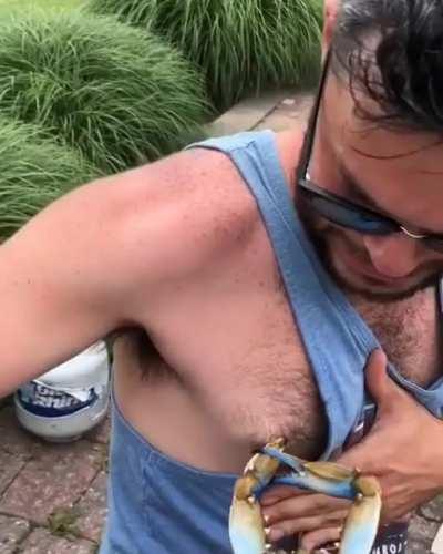 🦀 twister 🌪 crab