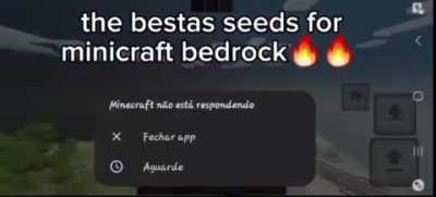 Guys these are some of the best seeds for Meincraft Pocket!