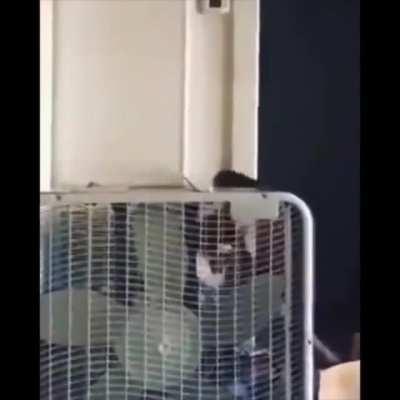 Russian roulette almost gone wrong