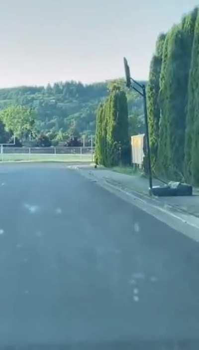 Ever been caught playing hooky?