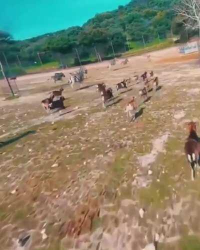 to capture drone footage