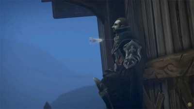 For your viewing pleasure