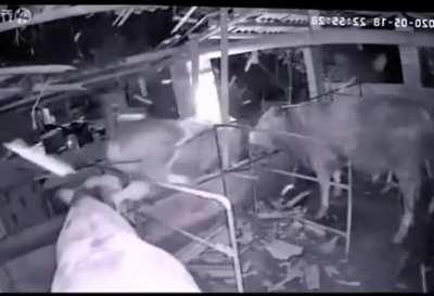 I wonder where it came from