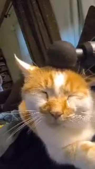 Good Vibrations Derp