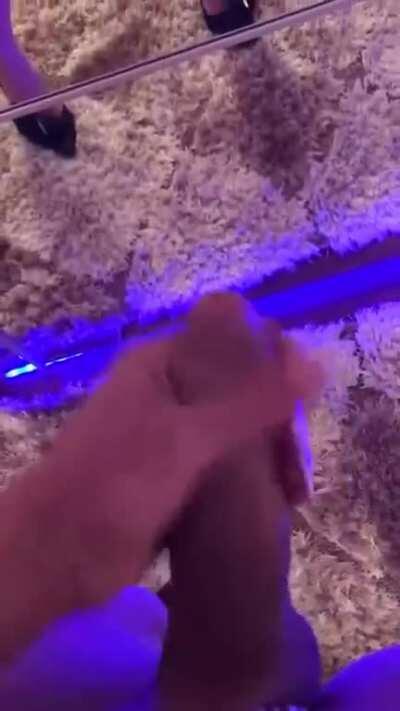 Mirror mirror on the wall, who is the prettiest tgirl of them all