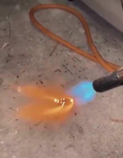 Hey there little guy…