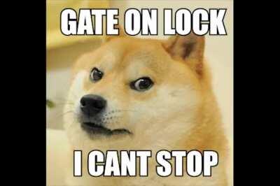 I made a doge version of ecco2k - Western Union