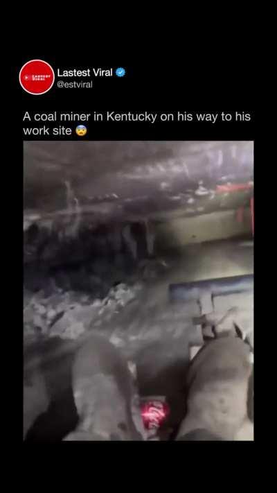 My anxiety level 📈📈 nope nope nope