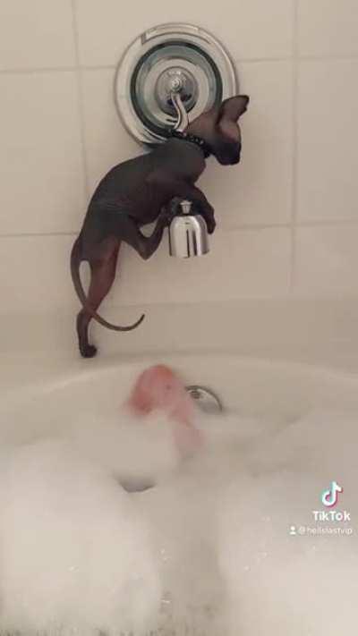 My lil man taking an accidental dip!