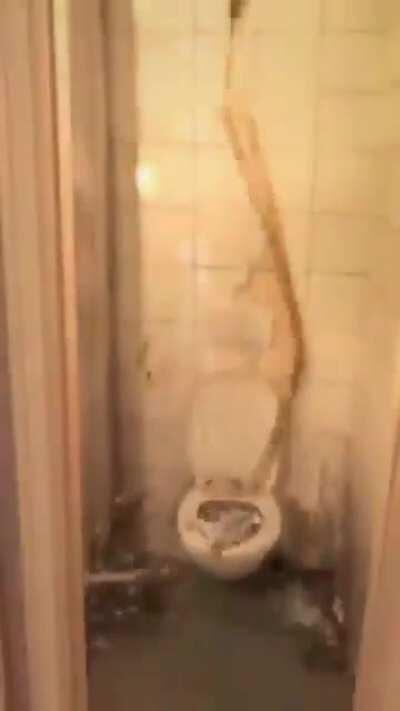 Me parecio muy bueno simplemente.