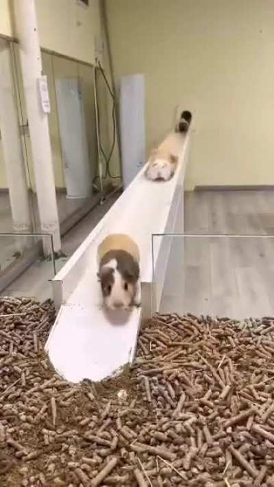 Thought y'all might like this (saw it on imgur)