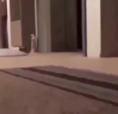 Had this saved and thought y'all would enjoy it