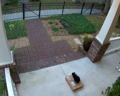 Loss Prevention Officer