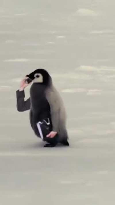 Give the birds a hand!