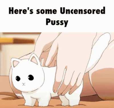 Here's some uncensored pussy for you boyos