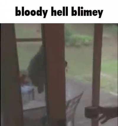 Too much politics here