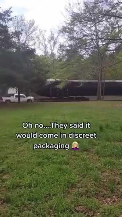 Wait what does she… oh