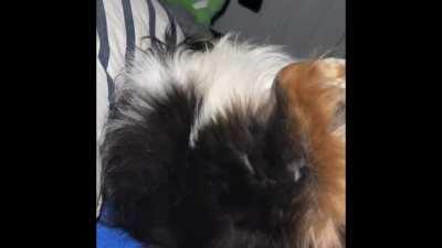 The look she gave me when I stopped 😂