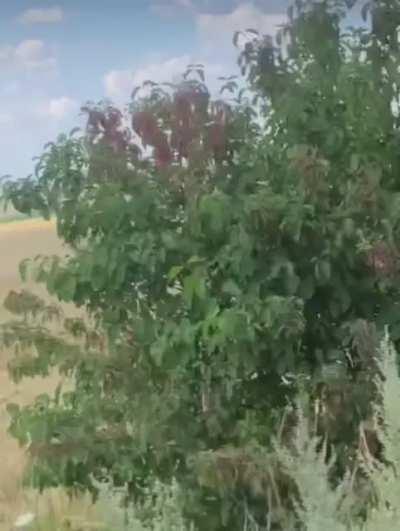 Intense footage of US and UK members of the Foreign Legion evacuating Ukrainian civilians under fire