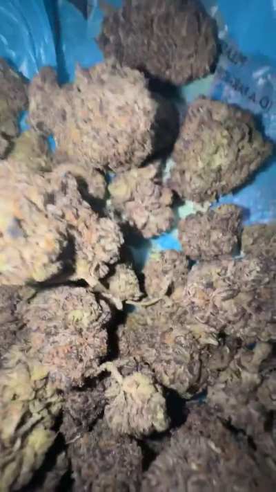 Don't you just love to see the crystals and hairs 🤤