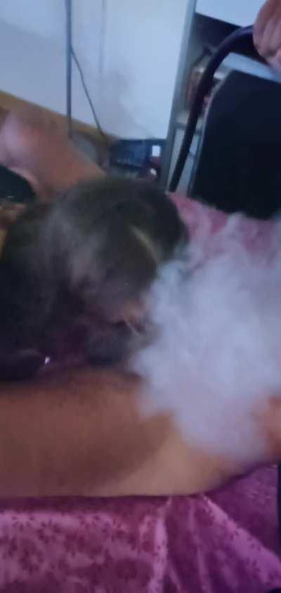 White Girl blows an Arab Dick while he smokes a shisha - Rebeu se fait tailler une pipe par une babtou et profite d'une chicha