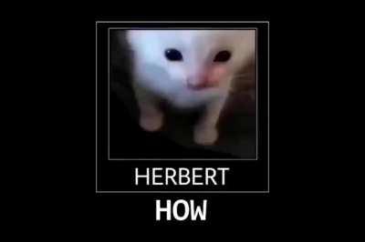 How do herbert speaks ??? why ??? how ???
