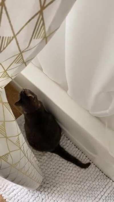 She wanted to be left alone I guess