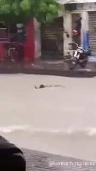 Everybody gangsta till this guy comes.