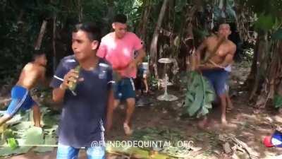 I think this counts? Rhythm is gonna get you