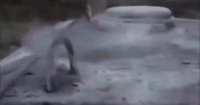 Quero os dois zeldas