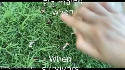 When you boop the snoot