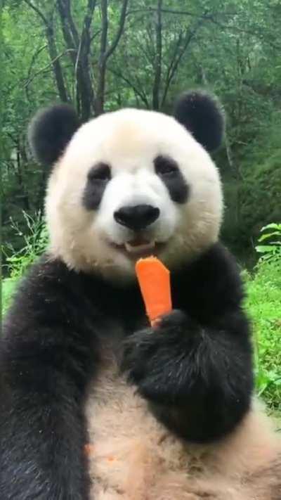 Remember to always eat healthy