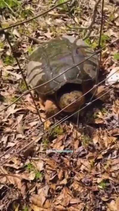 He surely is thirty haha