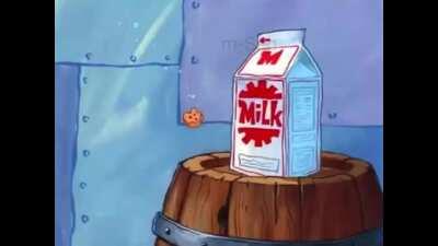 Last chance to look at me, Squidward