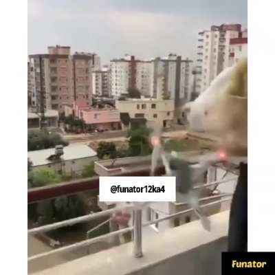 Maa ka bharosa [Part 2]