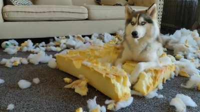 So! Think my wife's tone says it all.