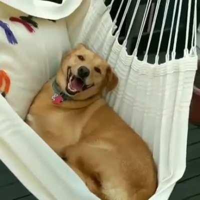 Chilling in the hammock