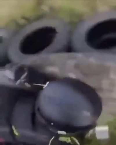 (Don’t know the date) just a video of a fight