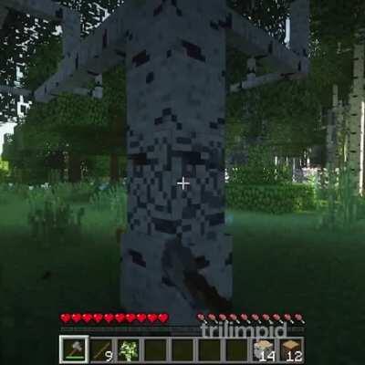You play on your survival world and suddenly this guy appears, wyd?