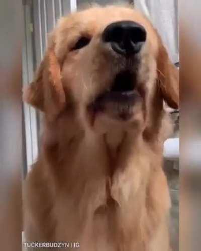 Tucker has some strong arguments though