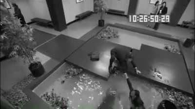 Koi Pond Security Cam