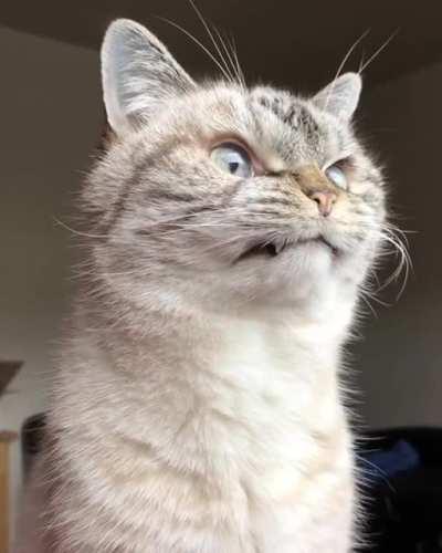 Me watching my portfolio this morning.