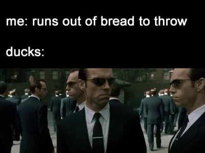 Afternoon by the Pond